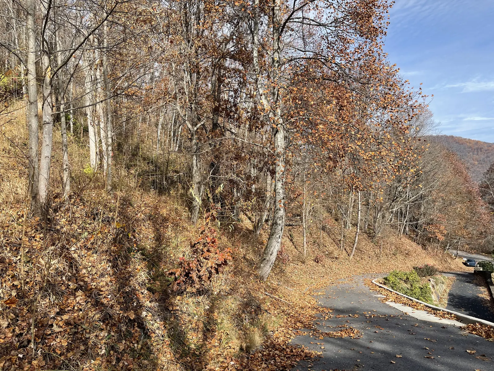 The paved road climbing through autumn woods