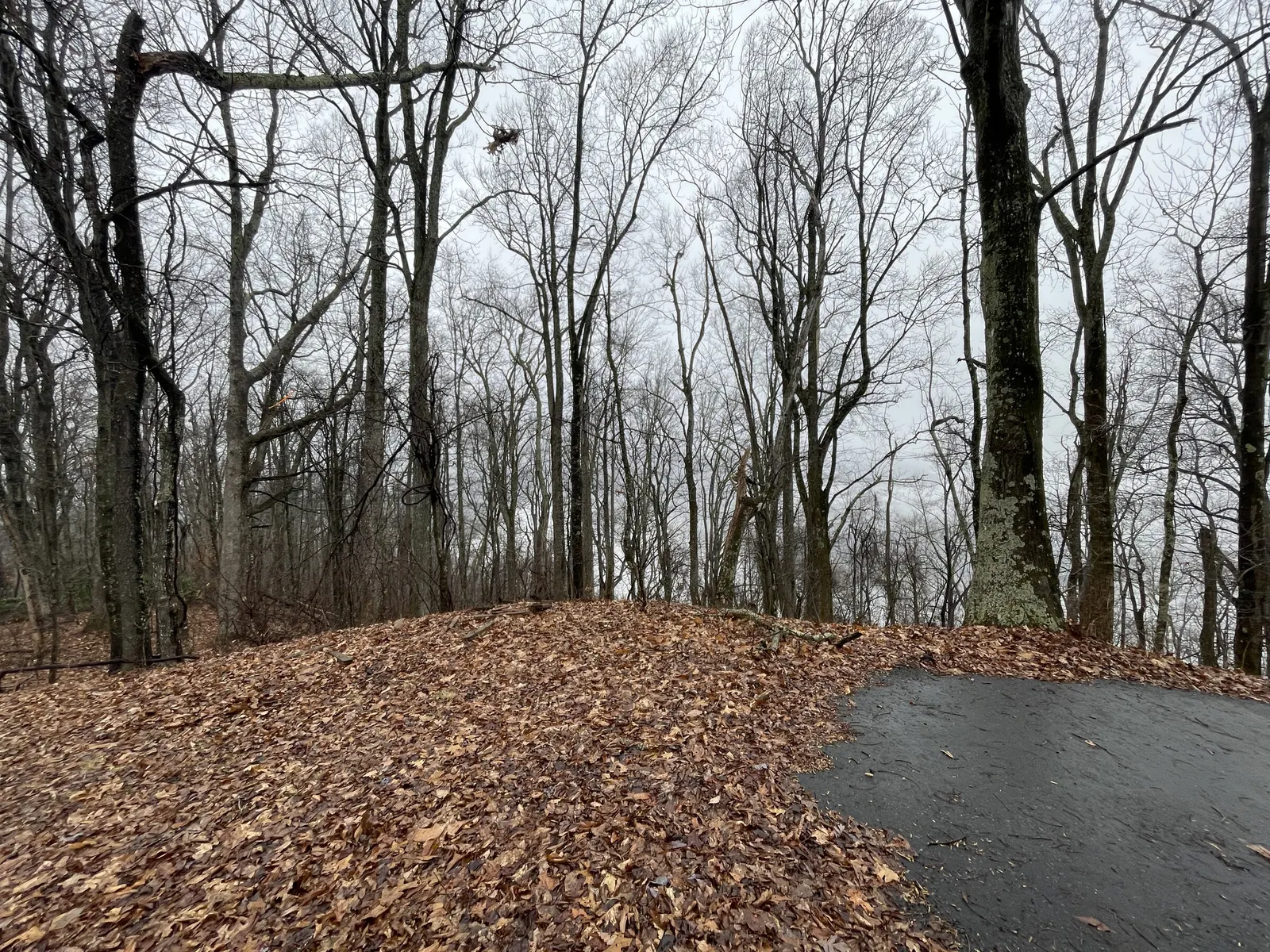 The end of the paved drive at the summit, surrounded by bare trees